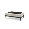 3916-TRAY
