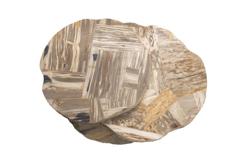 SF6319-V2